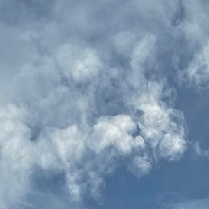 Meet your Posher, Cassie